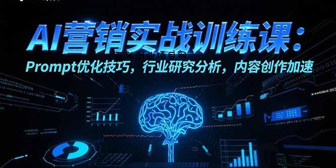 AI营销实战训练课：Prompt优化技巧，行业研究分析，内容创作加速-百义网络创业网-虚拟电商货源