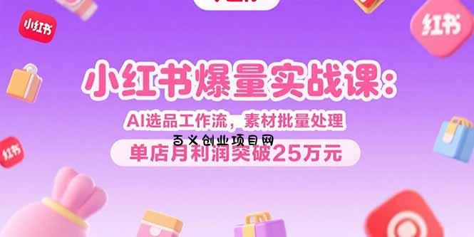 小红书爆量实战课：AI选品工作流，素材批量处理，单店月利润突破25万元-百义网络创业网-虚拟电商货源