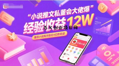 小说推文私董会大佬爆单经验分享收益12W，番茄小说每天稳定4位数收益-百义网络创业网-虚拟电商货源
