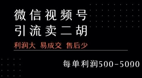 视频号卖二胡教程，利润大 易成交 售后少，一单利润5张+-百义网络创业网-虚拟电商货源
