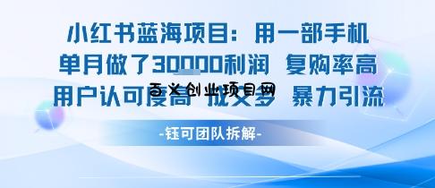 小红书蓝海项目，一部手机单月做了3W利润，小白也能月入过1W用户认可度高成交多-百义网络创业网-虚拟电商货源