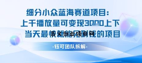 小众蓝海赛道项目：当天变现1k+适合新手操作 +适合长期玩-百义网络创业网-虚拟电商货源