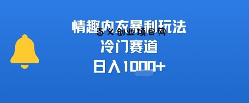 情趣内衣暴利玩法，冷门赛道，日入1k+-百义网络创业网-虚拟电商货源