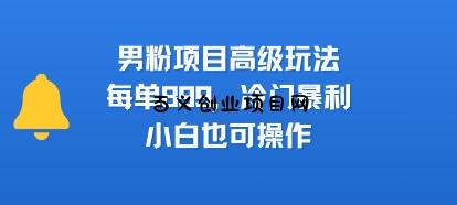 男粉项目高级玩法，每单899，冷门暴利，小白也可操作-百义网络创业网-虚拟电商货源