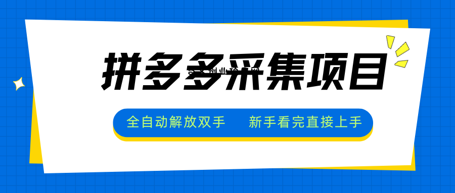 拼多多采集项目，全自动解放双手，单号日入30+-百义网络创业网-虚拟电商货源