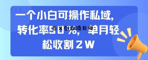 一个小白可操作私域，转化率90%，单月轻松收割2W-百义网络创业网-虚拟电商货源