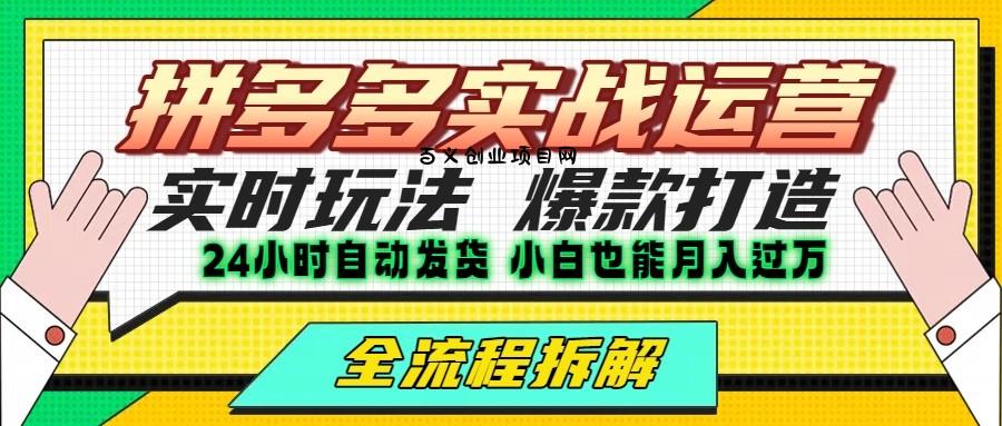 拼多多最新实战运营高投产：长久稳定项目，单店利润一天三位数-百义网络创业网-虚拟电商货源