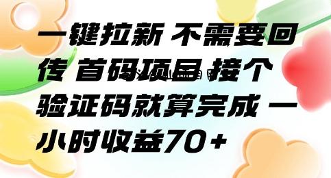 一键拉新 不需要回传 首码项目 接个验证码就算完成 一小时收益70+【揭秘】-百义网络创业网-虚拟电商货源