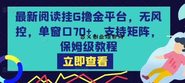 最新阅读挂G撸金平台，无风控，单窗口70+，支持矩阵，保姆级教程【揭秘】-百义网络创业网-虚拟电商货源