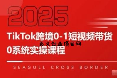 TikTok跨境0-1短视频带货，系统拆解TikTok跨境带货全链路，实现跨境可持续盈利-百义网络创业网-虚拟电商货源