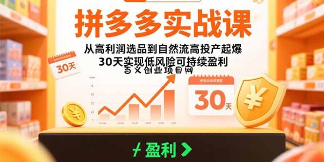 拼多多实战课：从高利润选品到自然流高投产起爆 30天实现低风险可持续盈利-百义网络创业网-虚拟电商货源