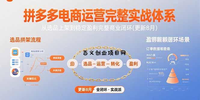 拼多多电商运营完整实战体系，从选品上架到稳定盈利完整商业闭环(更新8月-百义网络创业网-虚拟电商货源