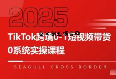 大亿老师·TikTok跨境0-1短视频带货-百义网络创业网-虚拟电商货源