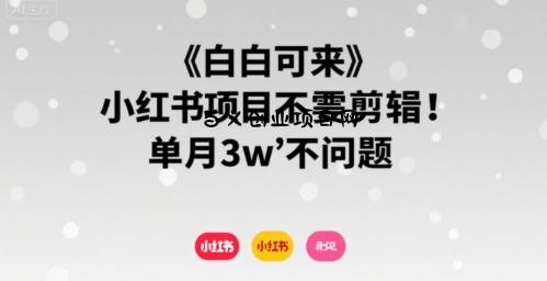 小白可来 小红书项目不需要剪辑 单月3w不是问题-百义网络创业网-虚拟电商货源