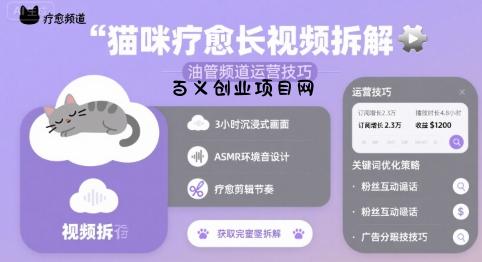 猫咪疗愈长视频拆解 &油管频道运营技巧-百义网络创业网-虚拟电商货源