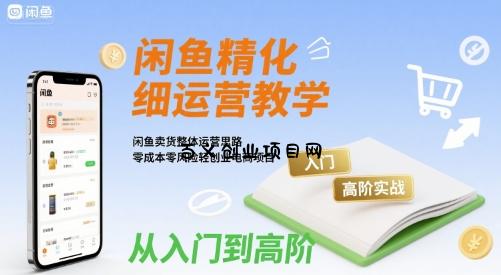 闲鱼精细化运营入门+高阶实战教学，闲鱼卖货整体运营思路，零成本零风险轻创业电商项目-百义网络创业网-虚拟电商货源