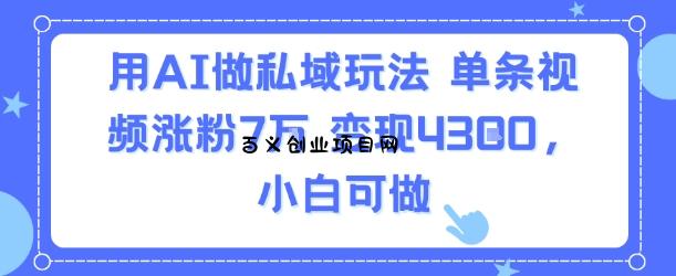 用AI做私域玩法，单条视频涨粉7W变现4.3k，小白可做-百义网络创业网-虚拟电商货源