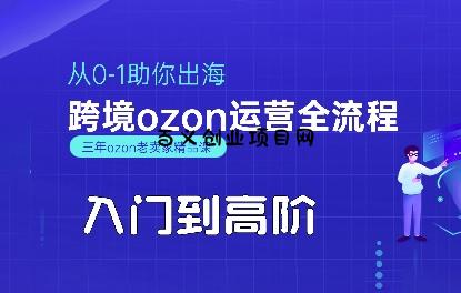 OZON入门到高阶全流程，从0-1助你出海，跨境ozon运营全流程-百义网络创业网-虚拟电商货源