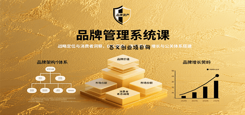 品牌管理系统课：战略定位与消费者洞察，DTC案例、资产评估，增长与公关体系搭建-百义网络创业网-虚拟电商货源