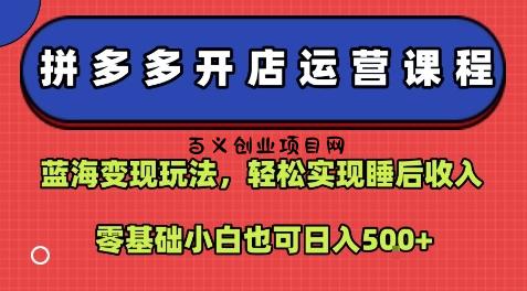 拼多多开店运营课程：蓝海变现玩法，轻松实现睡后收入，零基础小白也可日入5张-百义网络创业网-虚拟电商货源