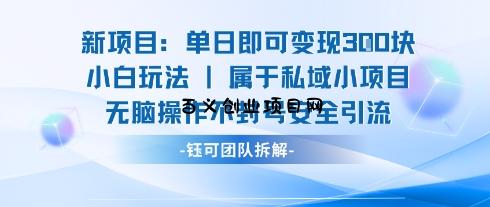 新项目单日即可变现3张的小白玩法无脑操作不封号安全引流-百义网络创业网-虚拟电商货源