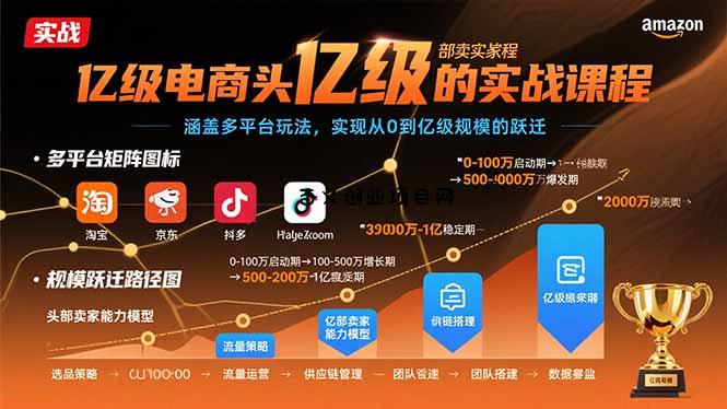 亿级电商头部卖家的实战课程：涵盖多平台玩法，实现从0到亿级规模的跃迁-百义网络创业网-虚拟电商货源