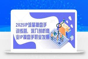 IP流量操盘手
