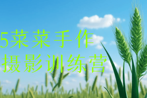 2025菜菜手作专业摄影训练营