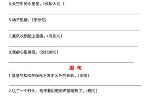 六下语文《六大句型期中考点专练》