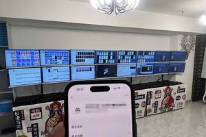 （14767期）2025实操项目合集 挂机类型 直播类型 轻资产创业类型 课程分享各项目介…
